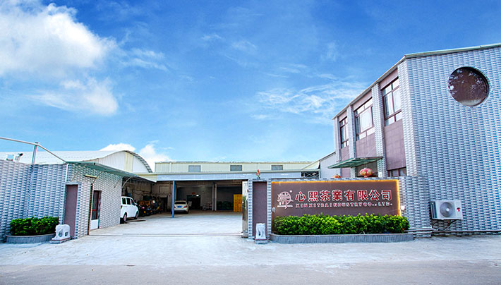 香蕉视频APP污下载厂房