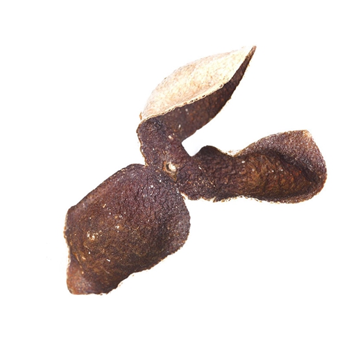 陕西怎么泡香蕉视频色板APP厂家